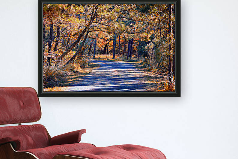 Gordons Pond Trail Autumn Colors by Bill Swartwout Photography
