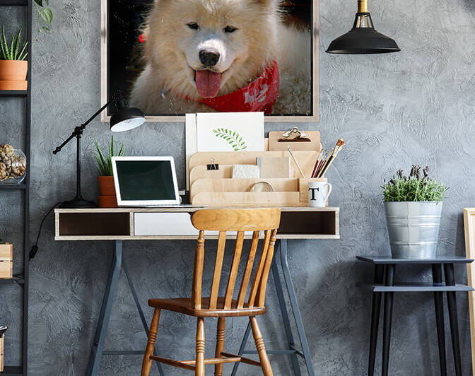 Dog Samoyed Teddy Bear Puppy Dog by Bill Swartwout Photography