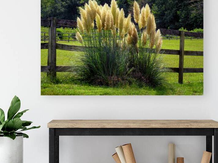 Maiden Grass and Fence in Roxanna DE by Bill Swartwout Photography