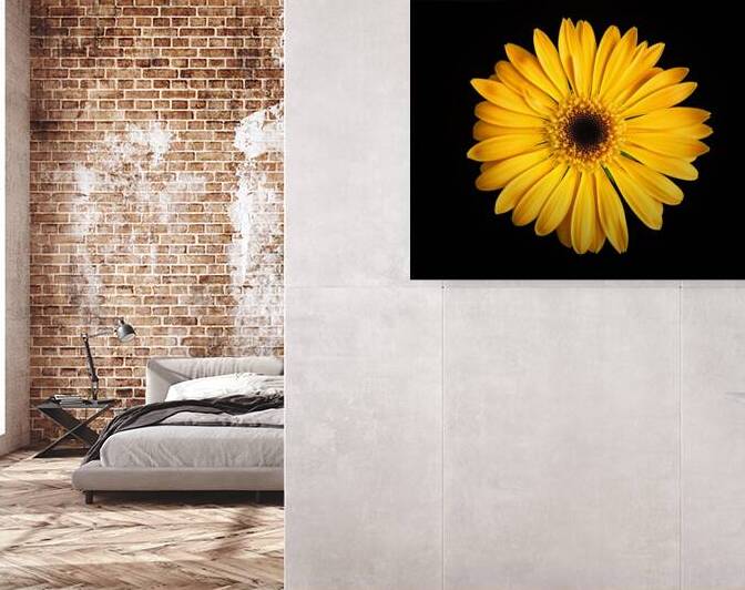 Yellow Gerbera Daisy on Black by Bill Swartwout Photography