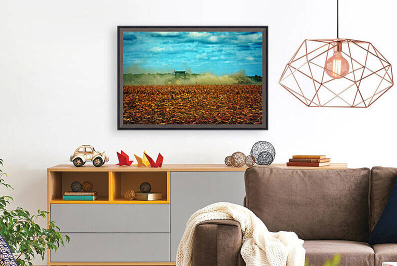 Dusty Deer and Case on the Farm by Bill Swartwout Photography