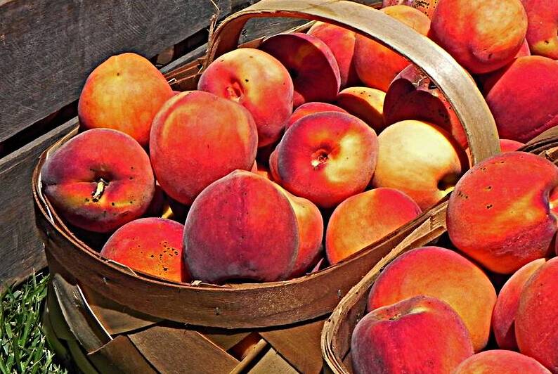 Berlin Peach Festival Baskets by Bill Swartwout Photography