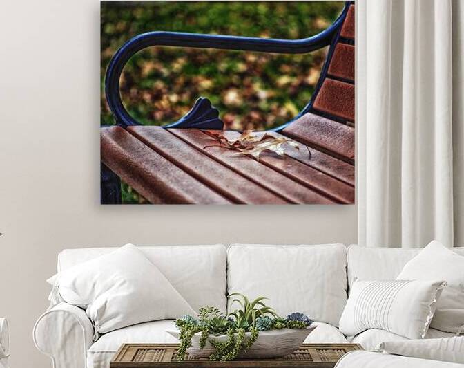 Park Bench w Brown Leaf by Bill Swartwout Photography