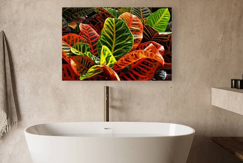 Waxy Leaf Croton Plant by Bill Swartwout Photography