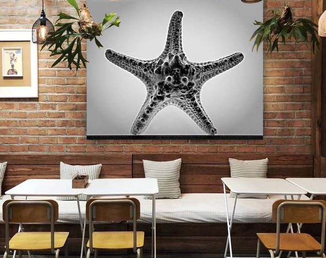 Starfish Purple Haze in Black and White by Bill Swartwout Photography
