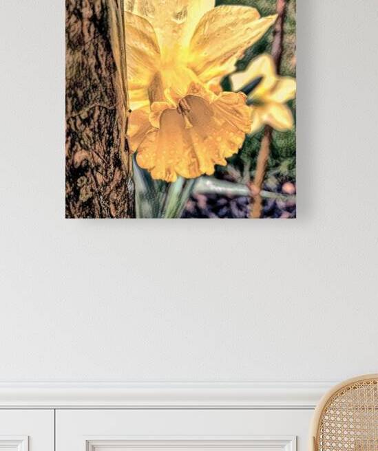 Daffodil with Tree Trunk and Rain in Charcoal by Bill Swartwout Photography
