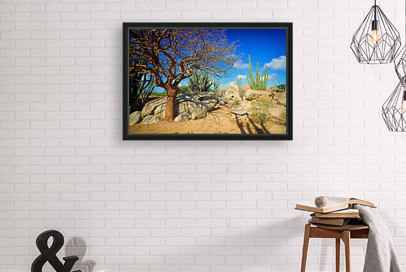 Aruba Desert Scene with Tree and Cacti by Bill Swartwout Photography