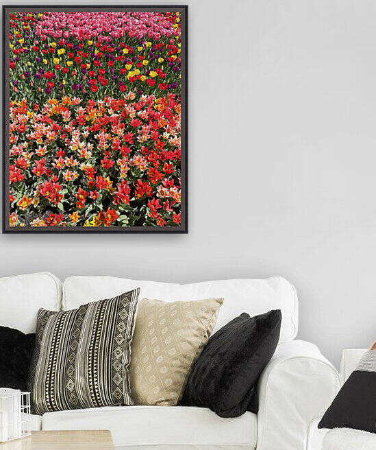 Bethany Beach Tulips by Bill Swartwout Photography