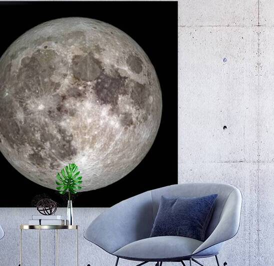 Full Moon Outer Space Image by Bill Swartwout Photography
