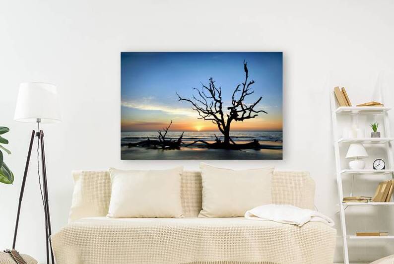 Iconic Tree Sunrise at Driftwood Beach Jekyll Island by Bill Swartwout Photography