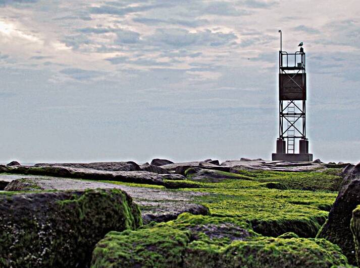 Indian River Inlet Marker on the Rocks 7180166 by Bill Swartwout Photography