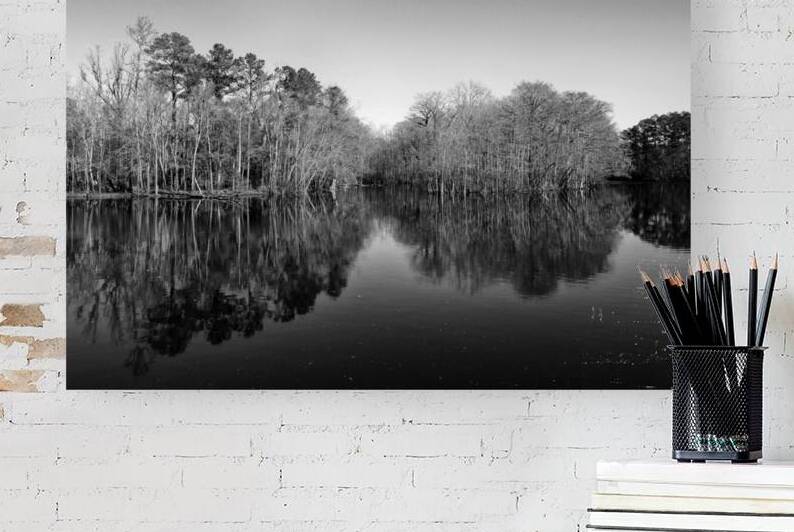 Waccamaw River at Conway in Black and White by Bill Swartwout Photography