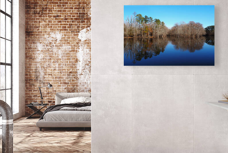 Waccamaw River at Conway South Carolina 090 by Bill Swartwout Photography