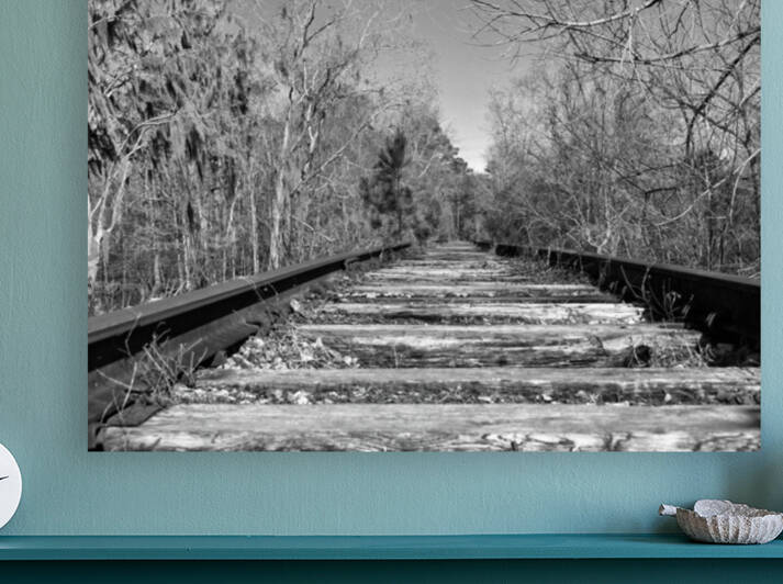 Waccamaw Coast Line Railroad Tracks Monochrome 099 by Bill Swartwout Photography