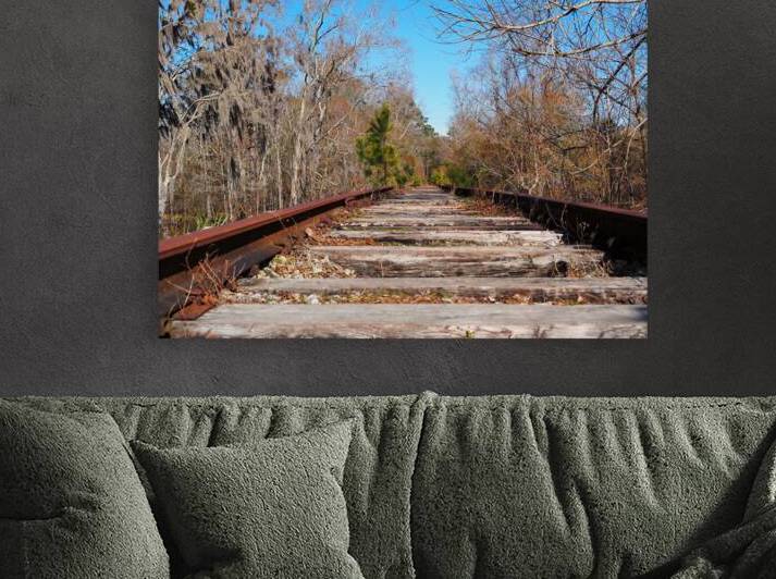 Waccamaw Coast Line Railroad Tracks 099 by Bill Swartwout Photography