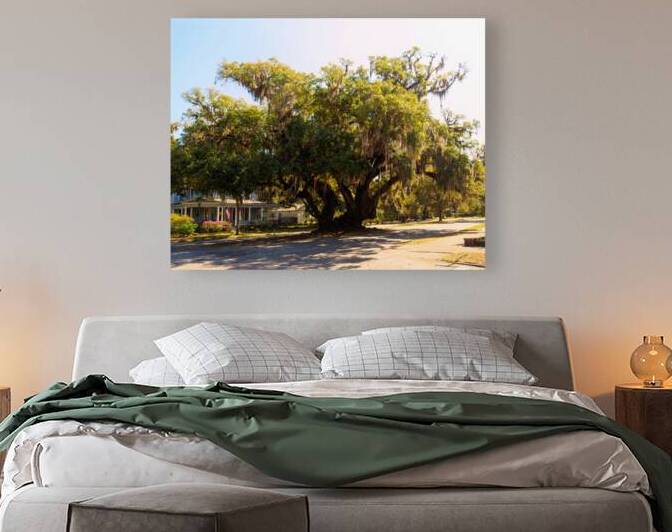Lovers Oak Tree in Brunswick GA by Bill Swartwout Photography