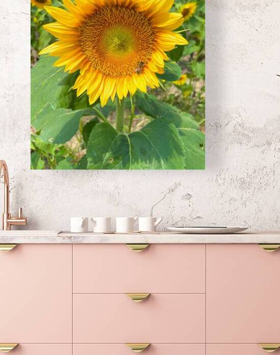 Sunflower with Bee Gathering Nectar by Bill Swartwout Photography