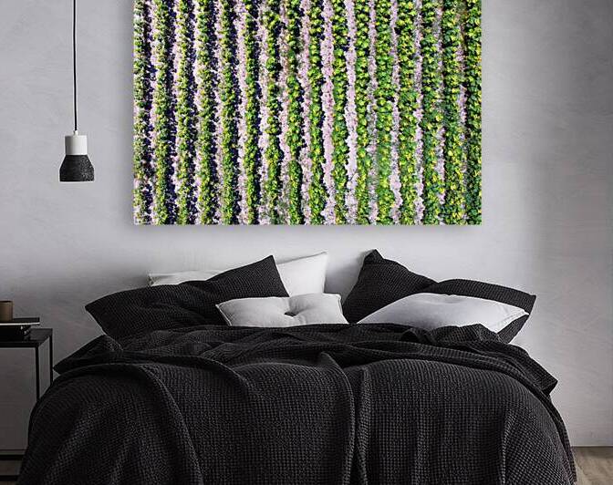 Sunflower Vertical Rows by Bill Swartwout Photography
