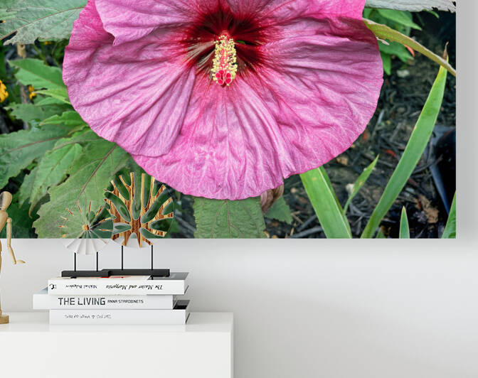 Pink Hibiscus on a Cloudy Day by Bill Swartwout Photography