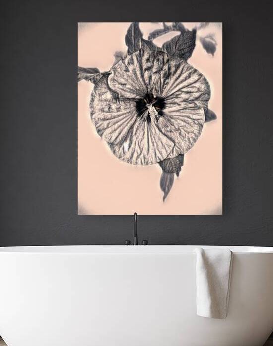 Hibiscus in Simulated Charcoal Monochrome by Bill Swartwout Photography