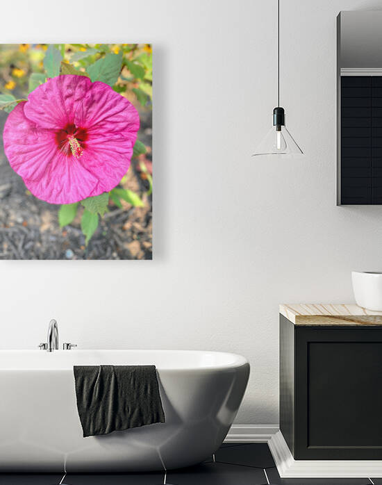 Hibiscus in the Shade Enhanced Pink by Bill Swartwout Photography