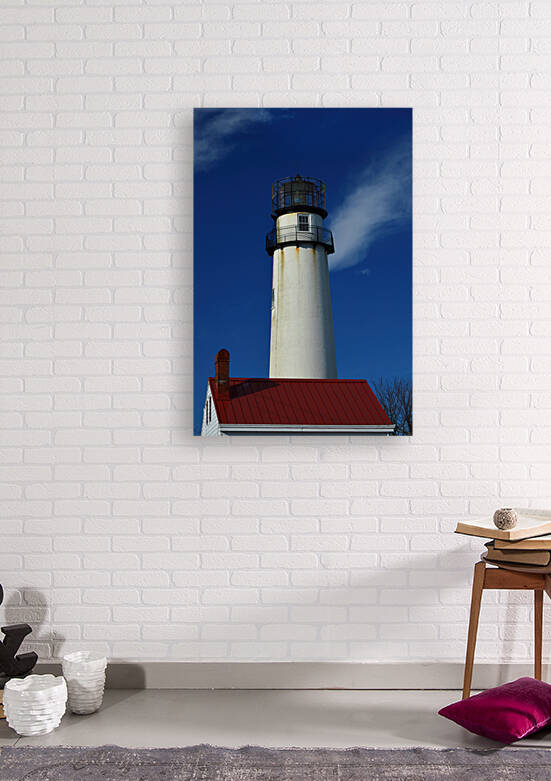 Fenwick Island Light Stands Tall by Bill Swartwout Photography
