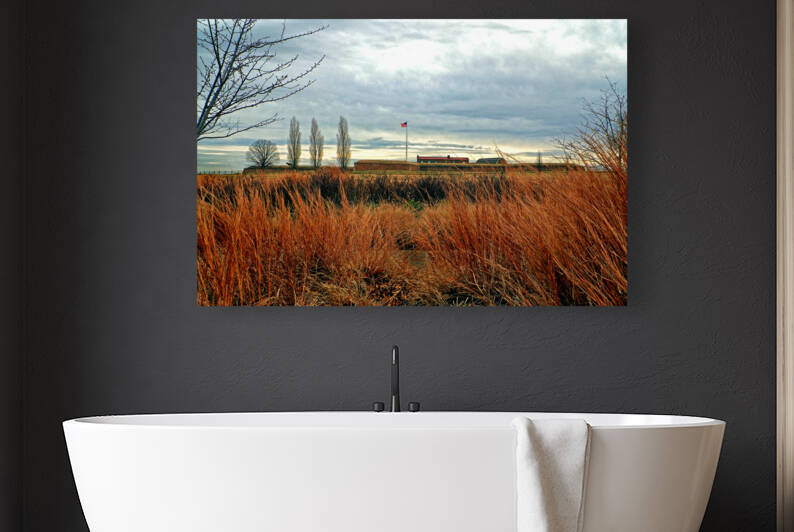 Fort McHenry Field of Dreams Landscape by Bill Swartwout Photography