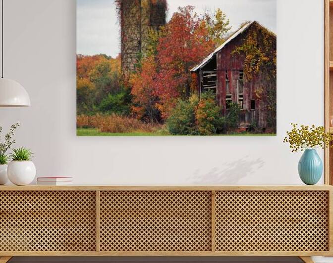 Red Barn Relic Close-up at Queenstown by Bill Swartwout Photography