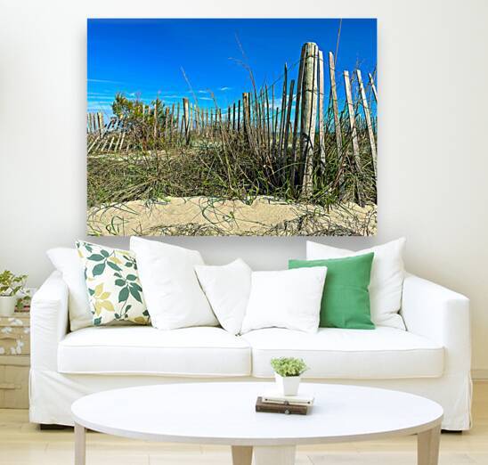 Dune Fence for the Beach by Bill Swartwout Photography