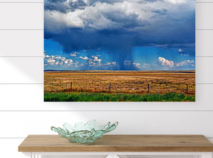 Free Range Summer Rainstorm by Bill Swartwout Photography