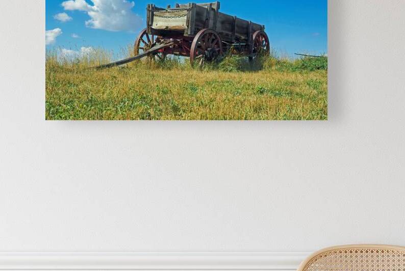 Old Crow Buckboard Wagon by Bill Swartwout Photography