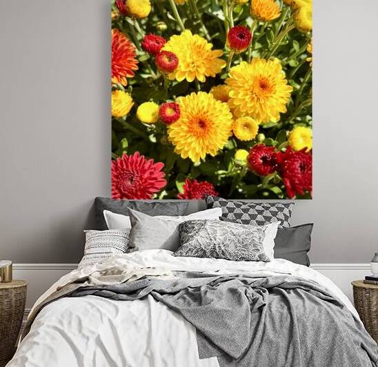 Mum’s the Word in Yellow and Orange by Bill Swartwout Photography