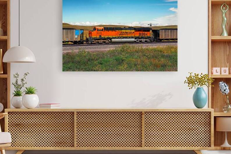 BNSF Distributive Power Unit in Coal Train by Bill Swartwout Photography