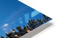 Iconic Mount Rainier HD Metal print