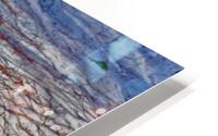 Coco Cay Iguana HD Metal print
