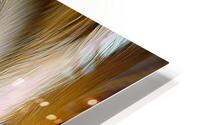 Cats Eye HD Metal print