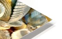 Dark Ark Seashell HD Metal print