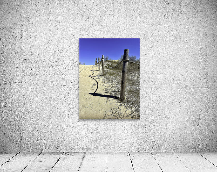 Pathway Across a Dune to the Beach Wall Preview