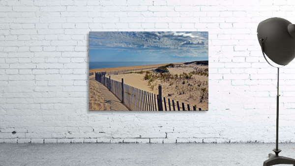 Cape Henlopen Beach Path Wall Preview
