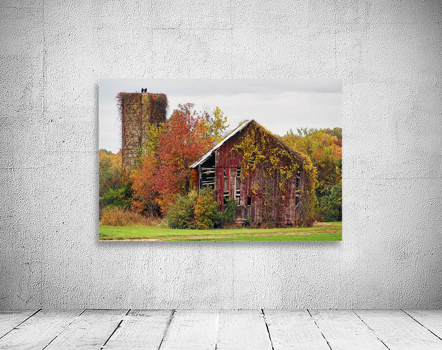 Decaying Red Barn Wall Preview