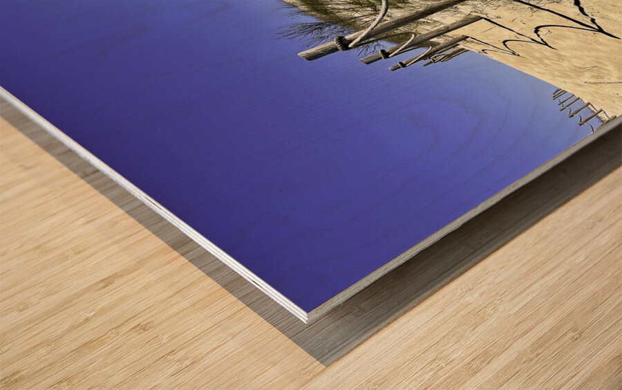 Pathway Across a Dune to the Beach Wood print