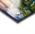 nature Acrylic print