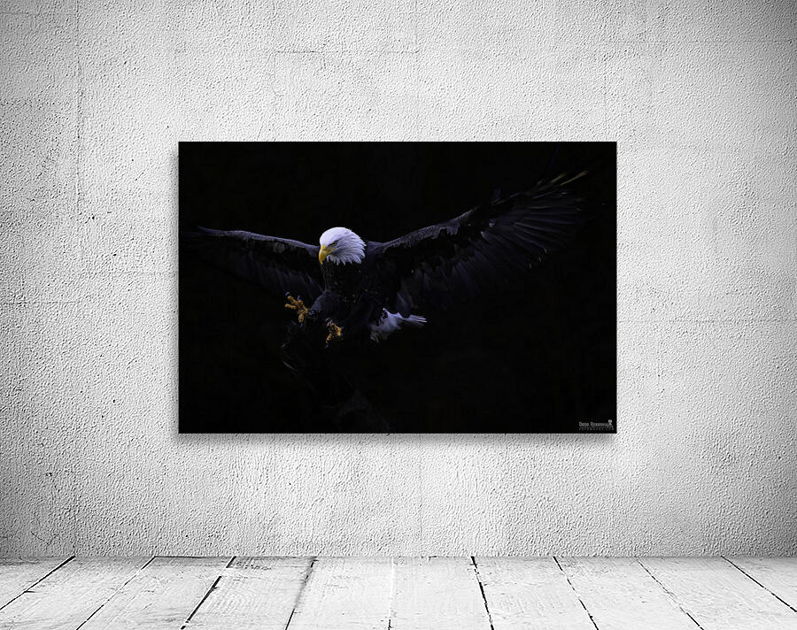 ~BALD EAGLE~ Wall Preview