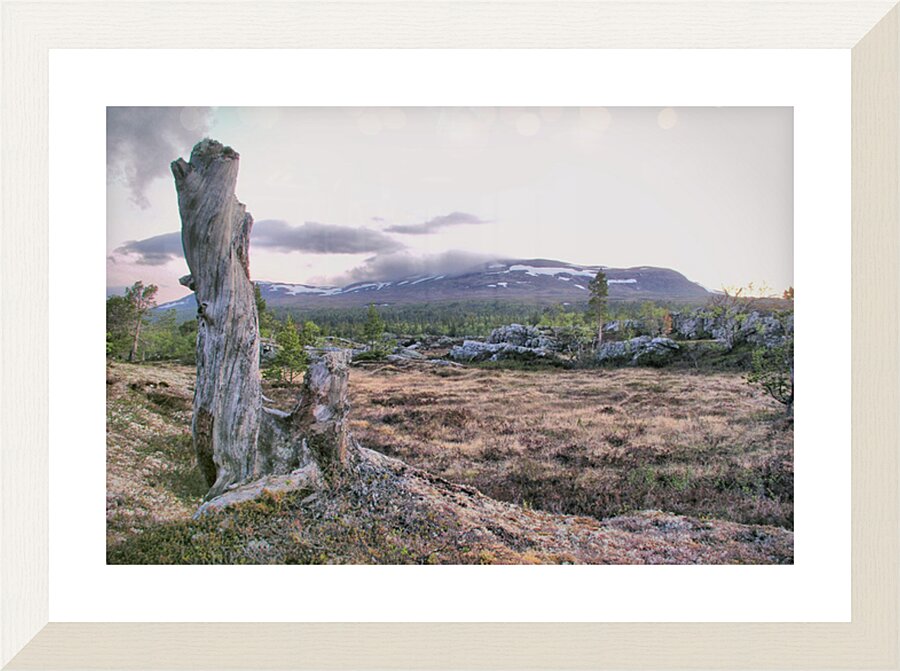  Fine Art print