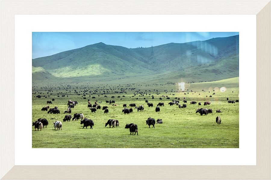  Fine Art print