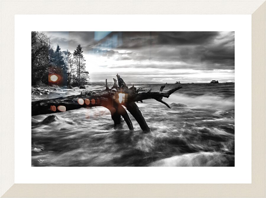  Fine Art print