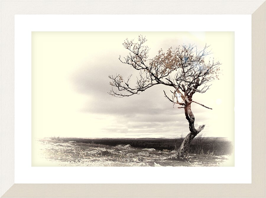 Fine Art print