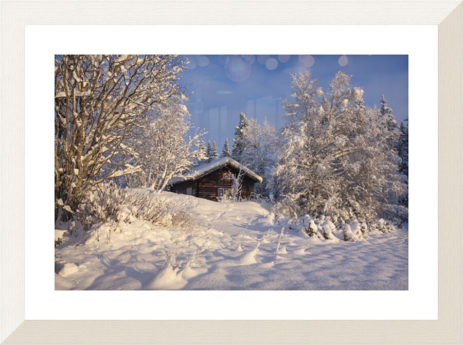  Fine Art print