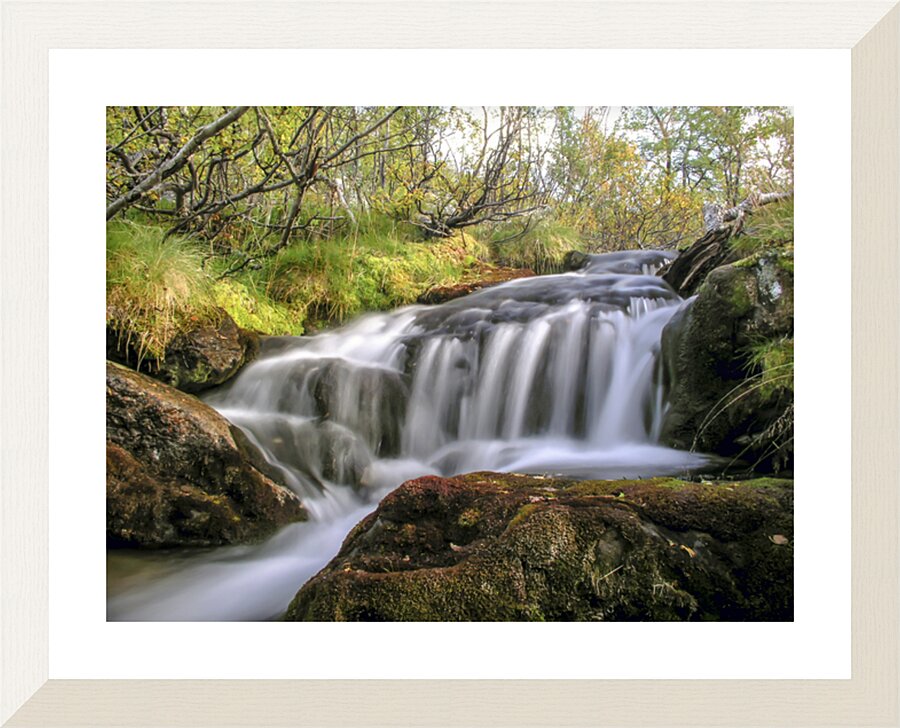  Fine Art print