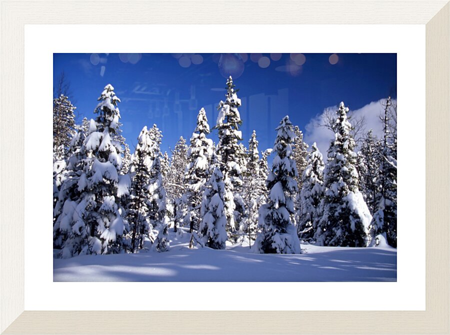  Fine Art print